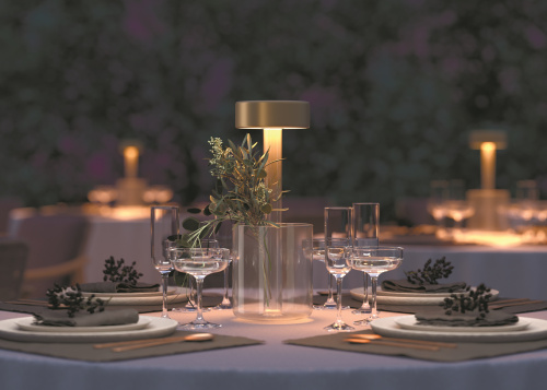 Аккумуляторный светильник Maytoni MOD229TL-L3G3K1 фото 8